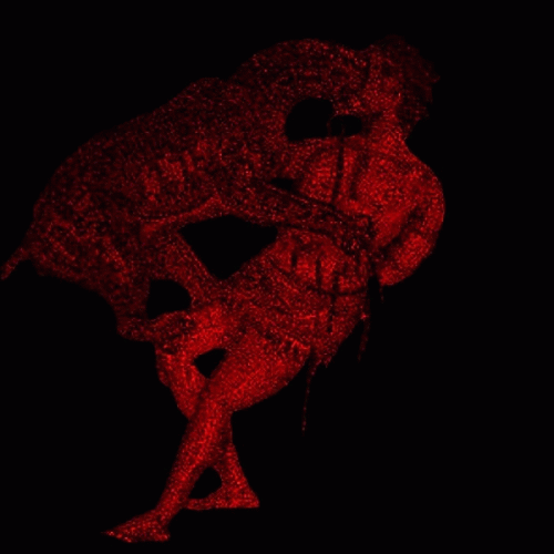 Corpo : Damnatio ad Bestias